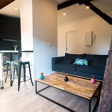 Le Puits-clos - T2 Au Capitole Apartment Toulouse