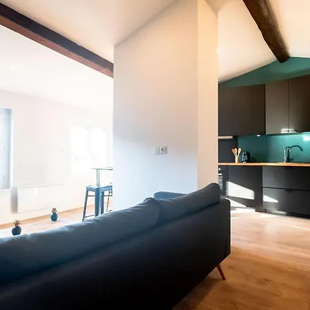 Le Puits-clos - T2 Au Capitole Apartment Toulouse